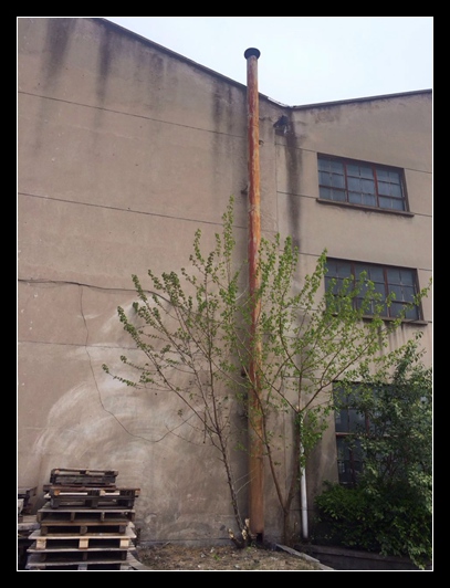 04月23日09:00 报废管道、废钢等 宝钢发展有